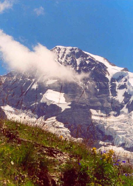 1. The Eiger, with flowers and cloud, from Wengen, Switzerland - 2003
