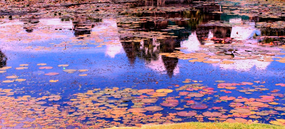 Angkor Wat reflection-5-24-2010
