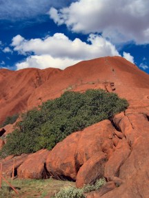 Ayers Rock climbing track 5-7-07