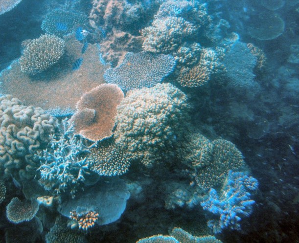 Great Barrier Reef
