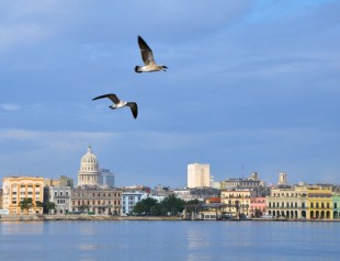 Havana waterfront from Regla, w gulls-12-17-11