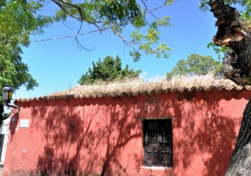 house w grass growing on roof, Colonia, Uruguay-02-03-13