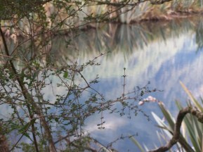 Mirror Lakes, Fiordland NP - 4-16-07