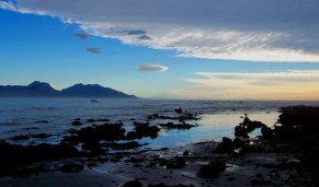 Morning Tidal Pool-Kaikoura - 3-31-07