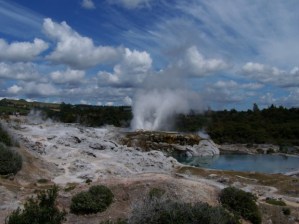 Pohutu Geyser - Rotorua - B - 2-07