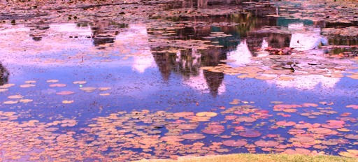 Angkor Wat reflection